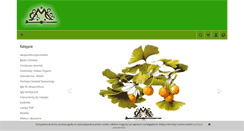 Desktop Screenshot of cmcpolska.pl