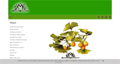 Desktop Screenshot of cmcpolska.net